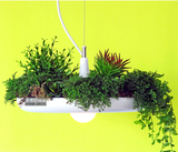 北欧创意空中花园盆栽花草灯饰乡村阳台艺术巴比伦植物花盆吊灯罩