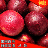 农家百香果新鲜热带水果西番莲鸡蛋果特级5斤装天然红果包邮