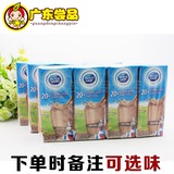 越南进口荷兰dutch lady子母奶巧克力牛奶180ml*12盒儿童牛奶包邮