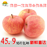 【牛呗鲜果】烟台苹果栖霞红富士10斤正宗新鲜纯天然时令山东水果