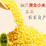 新小米 延安香谷米 陕北山地有机黄小香米 自家产宝宝月子米500克