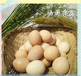 陕西特产安康富硒果林农家散养新鲜土鸡蛋20枚装儿童孕妈月子餐