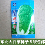 东北蔬菜种子大白菜种子 大白菜籽5袋包邮北京三号秋白菜种子20g