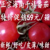正宗海南陵水千禧圣女果 樱桃番茄小番茄新鲜水果4斤江浙沪皖包邮