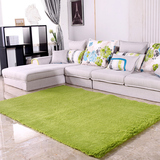 家居用品特价丝毛加厚地毯客厅卧室床边毯满铺可日韩家用纯色楼梯