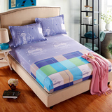 床笠单件床罩1.8米2m2.2床套席梦思床垫保护套防滑棕垫套1.5