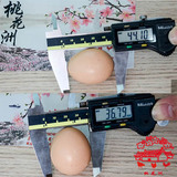 桃花洲农家土鸡蛋初产蛋初生蛋30枚包邮农村正宗自养散养蛋柴鸡蛋