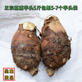 广西特产新鲜荔浦芋头槟榔芋紫藤芋小香芋农家蔬菜5斤5-7个装包邮