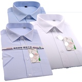 夏海螺男短袖衬衫白蓝条纹职业工装半袖衬衣品牌商务绿叶修身免烫