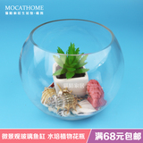 透明热弯圆形玻璃生态金鱼缸乌龟缸小型办公桌水族箱造景鱼缸花瓶