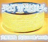 LED灯带3014  防水贴片进口芯片高亮节能铜线黄板暖光 蓝光 白光