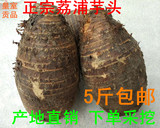 正宗广西土特产荔浦芋头槟榔芋农家自产自销新品有机蔬菜5斤包邮