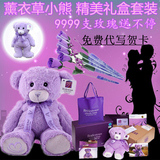 薰衣草小熊澳洲正品紫色泰迪熊公仔毛绒玩具情人节生日礼物送女生