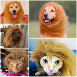 猫狗通用秒变宠物假发狮子头套发饰头饰帽子