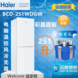 Haier/海尔 BCD-251WDGW 家用节能静音双门两门风冷无霜包邮冰箱