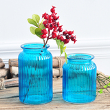 欧式美式地中海复古简约创意玻璃花瓶透明家居花艺装饰品水培花器