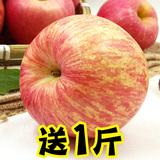 新鲜苹果水果山东烟台栖霞红富士包邮批发正宗吃的4斤送1斤共5斤