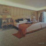 宾馆走廊地毯满铺门厅地毯办公室酒店楼梯布艺地毯床边防滑防潮毯