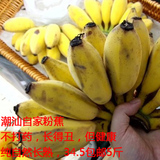 广东潮汕香蕉米蕉粉蕉农家自种新鲜水果海南皇帝蕉纯天然无催熟剂