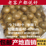 50个包邮 广西桂林永福特产 野生罗汉果果茶 批发特价多买多送