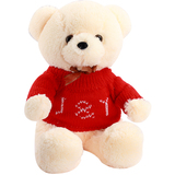 布娃娃可爱小熊公仔毛绒玩具泰迪熊玩偶抱抱熊批发儿童生日礼物女