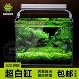 超白玻璃鱼缸 水草方缸造景水景生态水草灯小型迷你真水草养殖