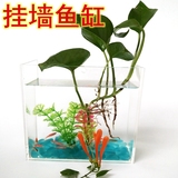 有机玻璃亚克力鱼缸水族箱长方形花盆挂墙壁挂墙上水培植物种花