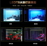 鱼缸LED灯单头T8防水龙鱼灯白光蓝白增红水族灯管60cm90cm120