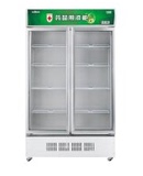 穗凌(SUILING)SL-500 500升双门立式阴凉冷柜单温冷藏冰柜
