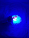 全铝12v紫光杀虫诱虫灯lLED玉米灯光源360度全周光E27螺口