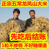 2015年新米5kg不抛光 东北五常稻花香黑龙江农家非转基因有机大米