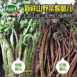 2016年东北野生山野菜猴腿儿,纯天然绿色,当天现采现发保证新鲜