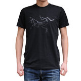 16男款ARCTERYX/始祖鸟 Archaeopteryx SS T-shirt 纯棉T恤 16444