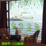 绿盆栽创意墙贴装饰贴客厅卧室办公室粘贴画窗贴玻璃贴画橱窗贴纸