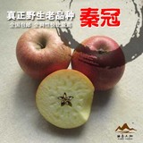 野苹果 秦冠非红富士新鲜苹果陕西pk云南新疆冰糖心10斤包邮预售