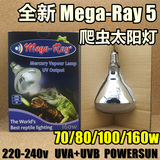 正品美国Mega-ray5代 爬虫陆龟太阳灯uvb70/80/100/160W质保半年