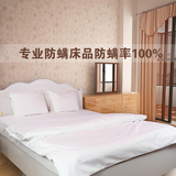 防螨虫床上用品四件套纯色床单床垫套床笠家纺床上用品可定制