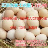 苏州东山农家散养新鲜土鸡草鸡蛋自产自销太湖特产随手礼酒店