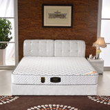 床垫席梦思特价1.5/1.8米弹簧椰棕垫 软硬两用可定制