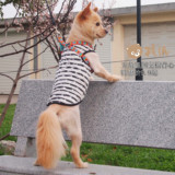 狗狗夏季衣服中型犬大狗宠物萨摩耶拉布拉多贵宾衣服夏装 狗背心