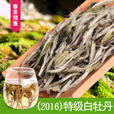 福鼎白茶白牡丹特级2016年花香、十足100克春茶预售3月26日发货