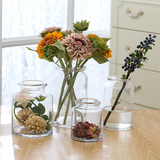 欧式现代简约圆口玻璃花瓶 创意透明插花日式花器 客厅装饰摆件