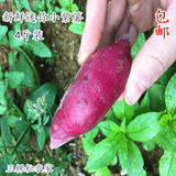 三棵松农家天目紫薯4斤农家自产新鲜地瓜自芋头当天现挖果蔬包邮