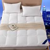 立体床垫加厚10cm酒店床褥子垫被榻榻米1.5m1.8米床垫可折叠包邮