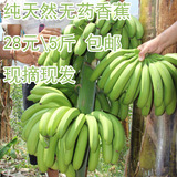 新鲜香蕉水果 农家自种特产无药催熟香蕉 纯天然香蕉 水果包邮