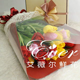 北京艾薇尔鲜花进口30彩色郁金香F535艾薇尔鲜花快递圣诞节鲜花