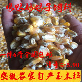 安徽农家自产自销散装有机玉米粒  鸽子兔子饲料 新玉米 6斤包邮