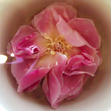 特级无硫玫瑰花冠王 云南特产法国墨红玫瑰花茶 专利品种缓解痛经