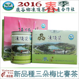 冻顶茶三朵梅比赛茶2016春季台湾鹿谷合作社冻顶乌龙茶叶新品种组