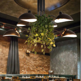 美式乡村铁艺鸭嘴异形吊灯客厅餐厅大厅个性艺术植物吊灯吸吊两用